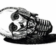 Illustration for article titled The Most Hilariously Damning Review Of The Original iStar Wars/i
